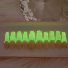 Load image into Gallery viewer, Glowing Gator