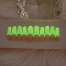 Load image into Gallery viewer, Glowing Gator